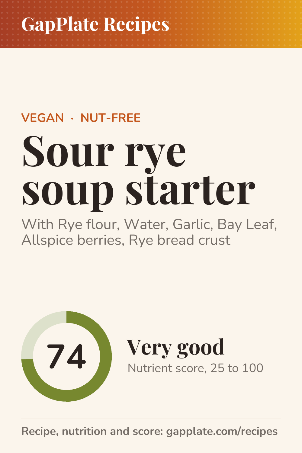Pin of Sour rye soup starter recipe