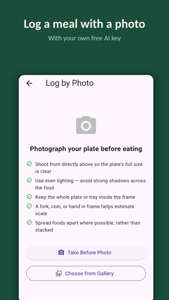 GapPlate screenshot: log a meal with a photo (needs your own free AI key)